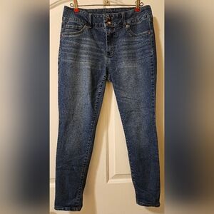 d. jeans Medium Wash Jegging Skinny Jeans Size 10 Womens EUC